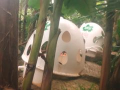 -100蛋泥浆浴