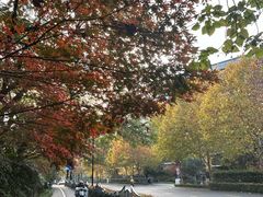 -阿里中心·杭州Z空间