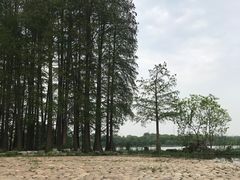 -东湖落雁景区