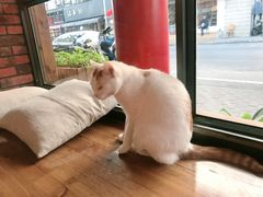-B.O.M波姆烘焙(凤凰街店)