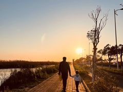 -南汇嘴观海公园