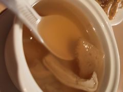 -芙蓉堂(武汉天地店)