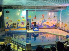 -太平洋海底世界