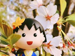 -黄兴公园