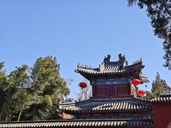 -苏格里岛自助海鲜烤肉(中州万达店)