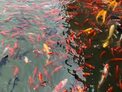 -泰安地下龙宫景区