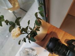 -Punchline Coffee&Roaster(同济大学店)