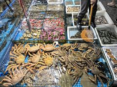 -霞涌市场海鲜摆卖区