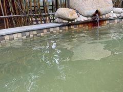 -三江森林温泉度假区