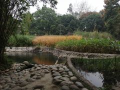 -成都市活水公园