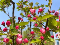 -元大都城垣遗址公园