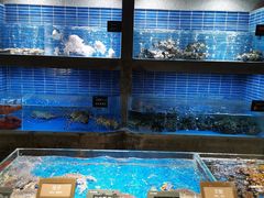 水产区-徐记海鲜(陕西历史博物馆|明德门店)