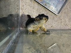 -常州海昌海洋探索馆