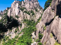 -黄山风景区