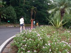 -白云山风景名胜区
