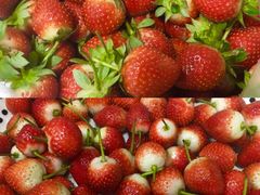 -红旗山庄(圭峰山店)