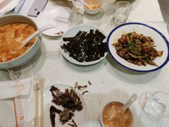 -食家鸽园