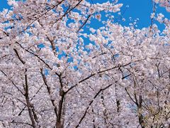 -龙美术馆(西岸馆)