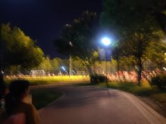 -光明港公园