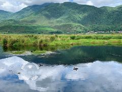 -腾冲北海湿地
