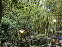 -竹海听涛生态山庄