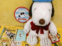 -九木杂物社(中心店)