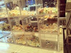 -新发展亚太JW万豪酒店·福苑咖啡厅