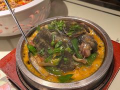 -潇湘甲鱼村(清河店)