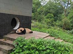 景点-碧峰峡风景区