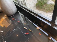 -渝乡辣婆婆·川菜 水煮鱼(安平店)