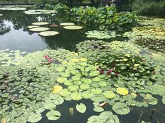 -国家植物园南园