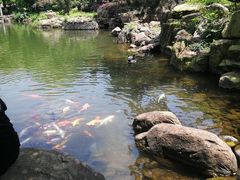 -白马涧龙池景区