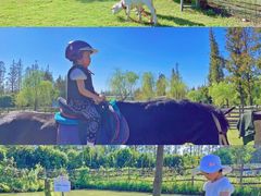 -前小桔亲子创意农场·草莓采摘·露营烧烤