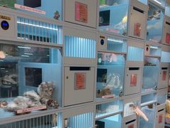 -FAELING PETS美天灵宠物(合生汇店)