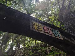 -青青世界