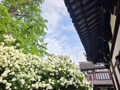 -常熟方塔园