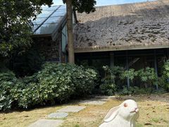 -老房子金沙元年川菜食府·花园餐厅(金沙店)