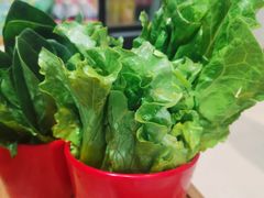 -香满锅老北京羊蝎子火锅·家常菜(新街口店)