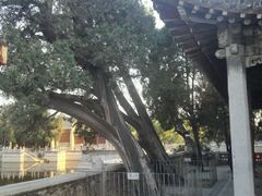 -百泉景区