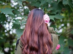 -白鹭湾湿地公园