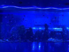 -石家庄极地海洋世界