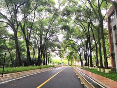 -四川大学(望江校区)