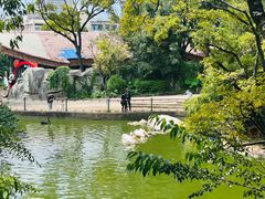 -昆明动物园