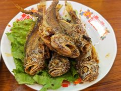 -谢记上海大排档(长寿路店)