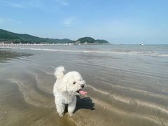 -东海半边山旅游度假区