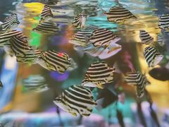 -沈阳海洋探索中心