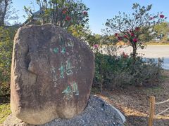 -梧桐山风景名胜区