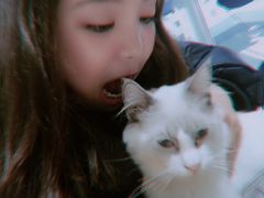 -猫亿天猫咖