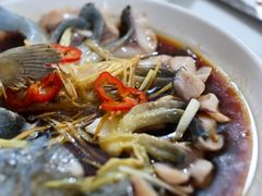 -煲来饱去冷水鱼