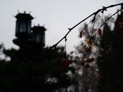 -钓鱼台国宾馆